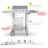 BARBECUE A GAS PLANET SERIE "CHEF" 55 IN ACCIAIO INOX + CA