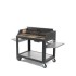 BARBECUE A LEGNA IN ACCIAIO INOX MOD. FONTANA EGEO 110