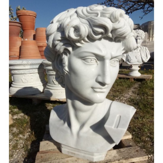 BUSTO IN MARMO DAVID DI MICHELANGELO  Cm. 65