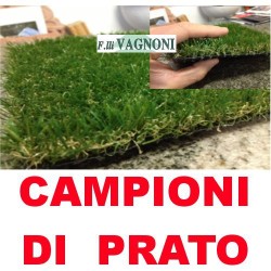 CAMPIONI DI PRATO ERBA SINTETICA
