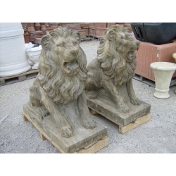 COPPIA DI LEONI IN PIETRA VECCHIA Cm. 100