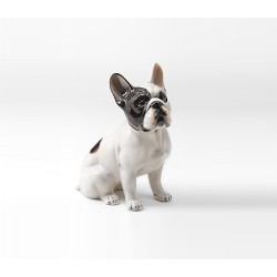 STATUA CANE BULLDOG BOULEDOGUE FRANCESE IN CERAMICA CM. 34