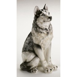 STATUA CANE SIBERIAN HUSKY IN CERAMICA CM. 60 -ANIMALI-