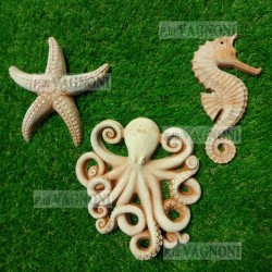 STELLA MARINA+CAVALLUCCIO MARINO+POLPO IN TERRACOTTA