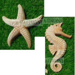 STELLA MARINA+CAVALLUCCIO MARINO IN TERRACOTTA TOSCANA