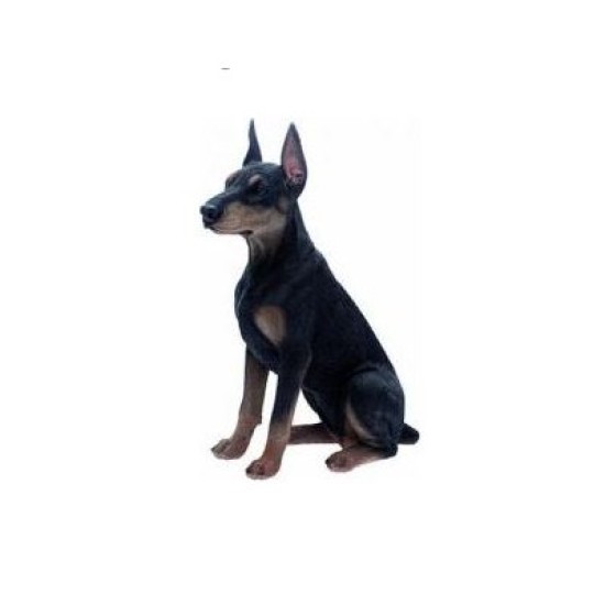 STATUA CANE DOBERMAN IN RESINA CM. 61 STATUA CANE DOBERMAN IN RESINA CM. 61